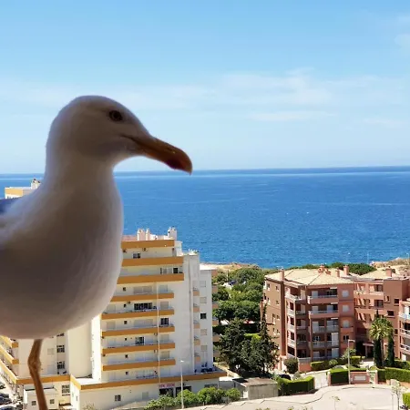 아파트 Rocha Edificio Clube Praia Mar 포티마오
